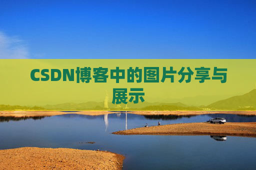 CSDN博客中的图片分享与展示
